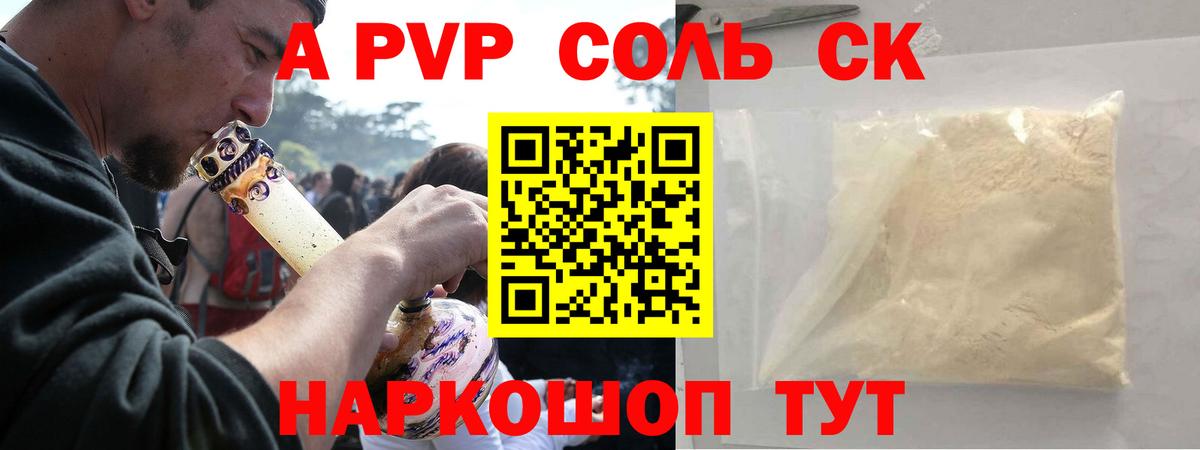 A PVP СК КРИС Новоалександровск