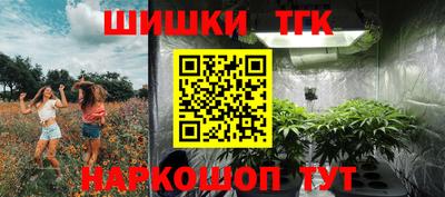 стафф Гусев