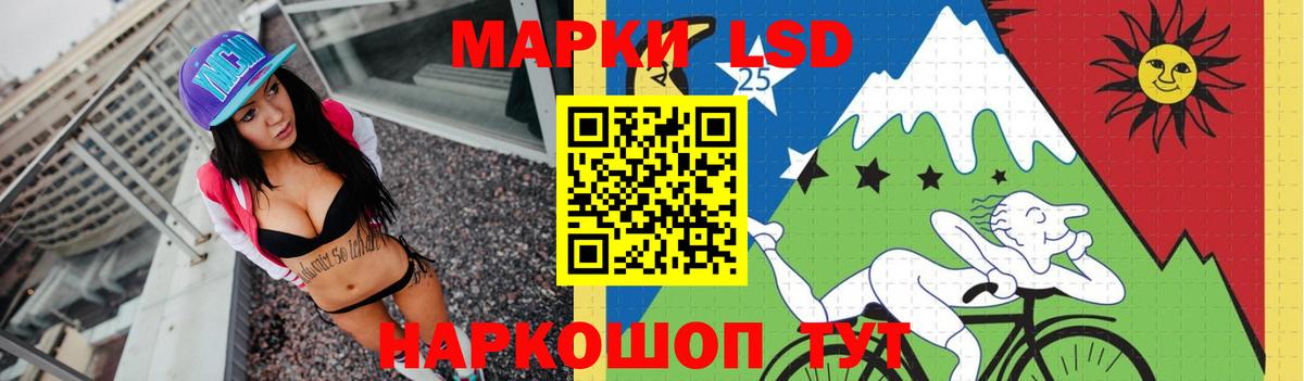 Новоалександровск  Лсд 25 экстази кислота  Лсд 25 экстази  LSD-25 экстази ecstasy  Вход с VPN 