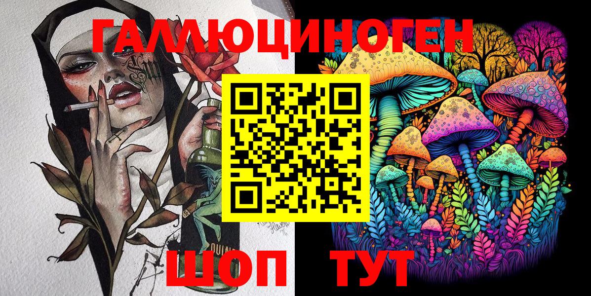 Псилоцибиновые грибы Cubensis Новоалександровск