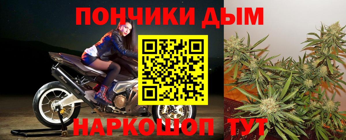 Бошки Шишки планчик  Марихуана конопля  Новоалександровск  Вход с VPN  Канабис SATIVA & INDICA  Конопля сатива 